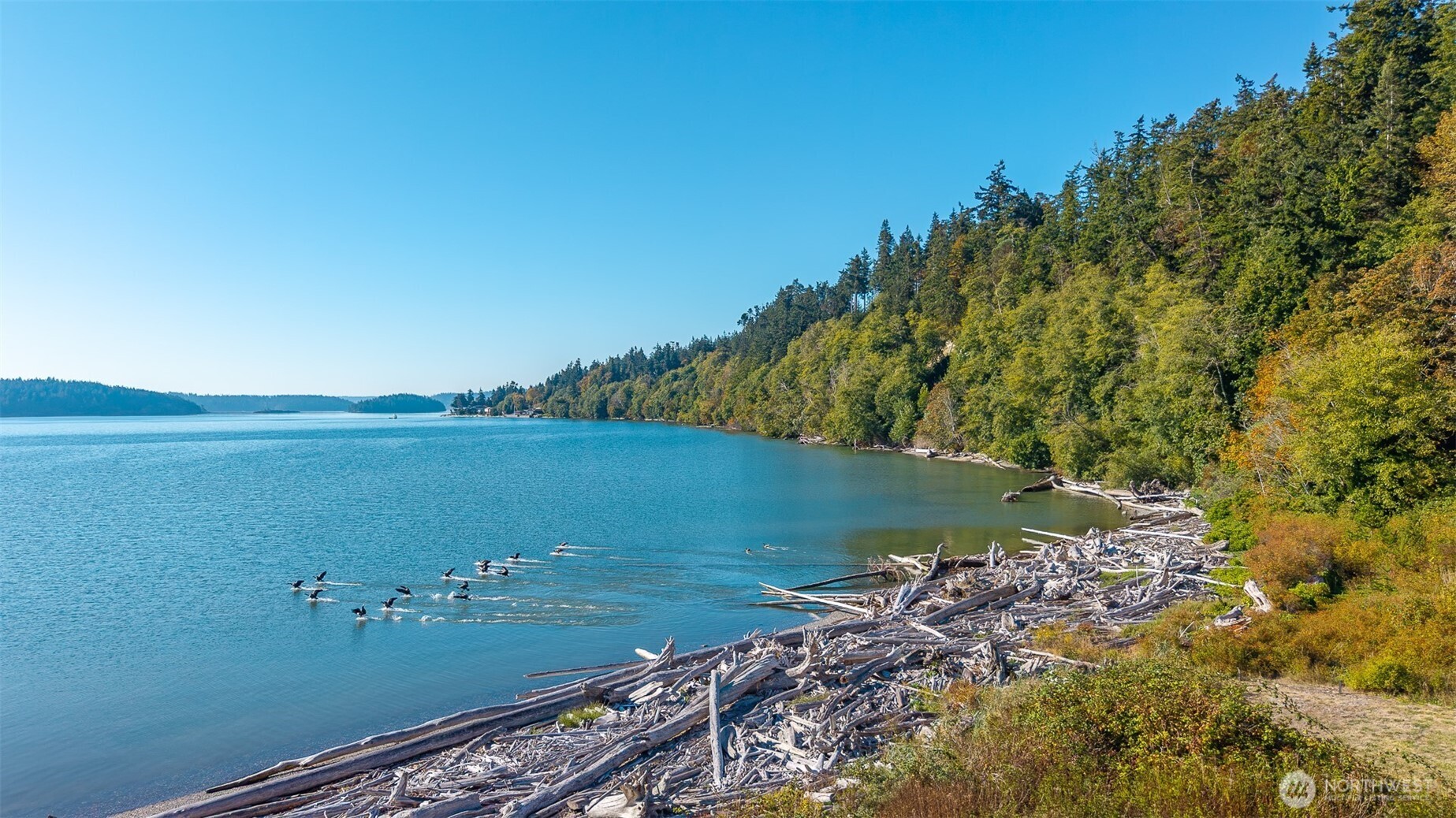 13327 Satterlee Road Anacortes, WA 98221 - Photo 37 of 40 Gallery Image 37