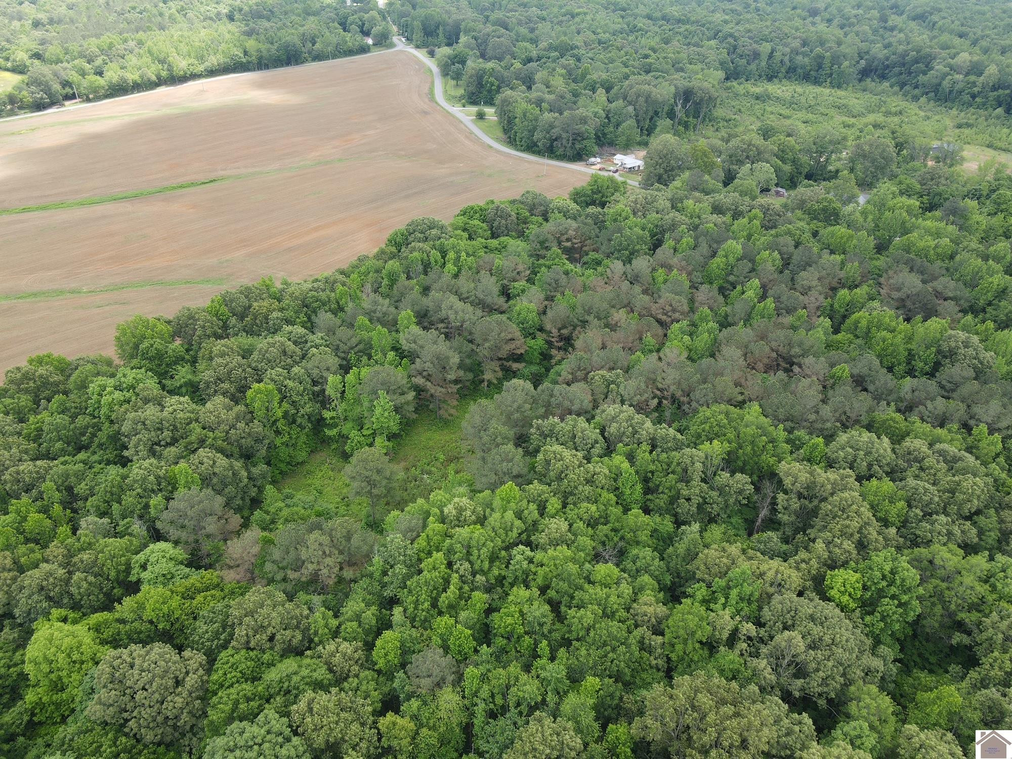 Dooms Chapel Road Symsonia, KY 42082 - Photo 10 of 16 Photo 10