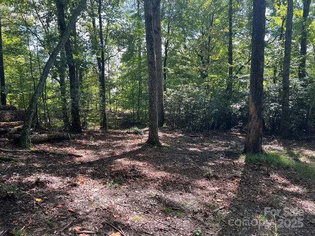 a view of a forest with trees