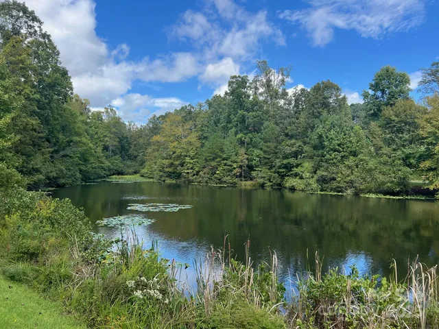 a view of a lake with a yard