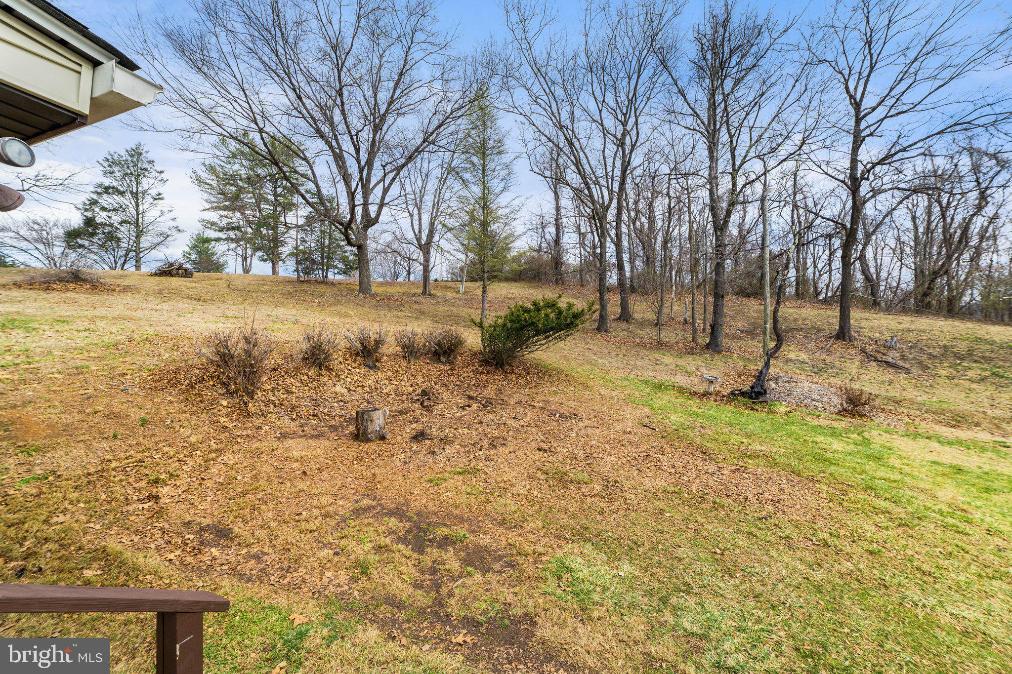 3769 Sage Road Delaplane, VA 20144 - Photo 39 of 48