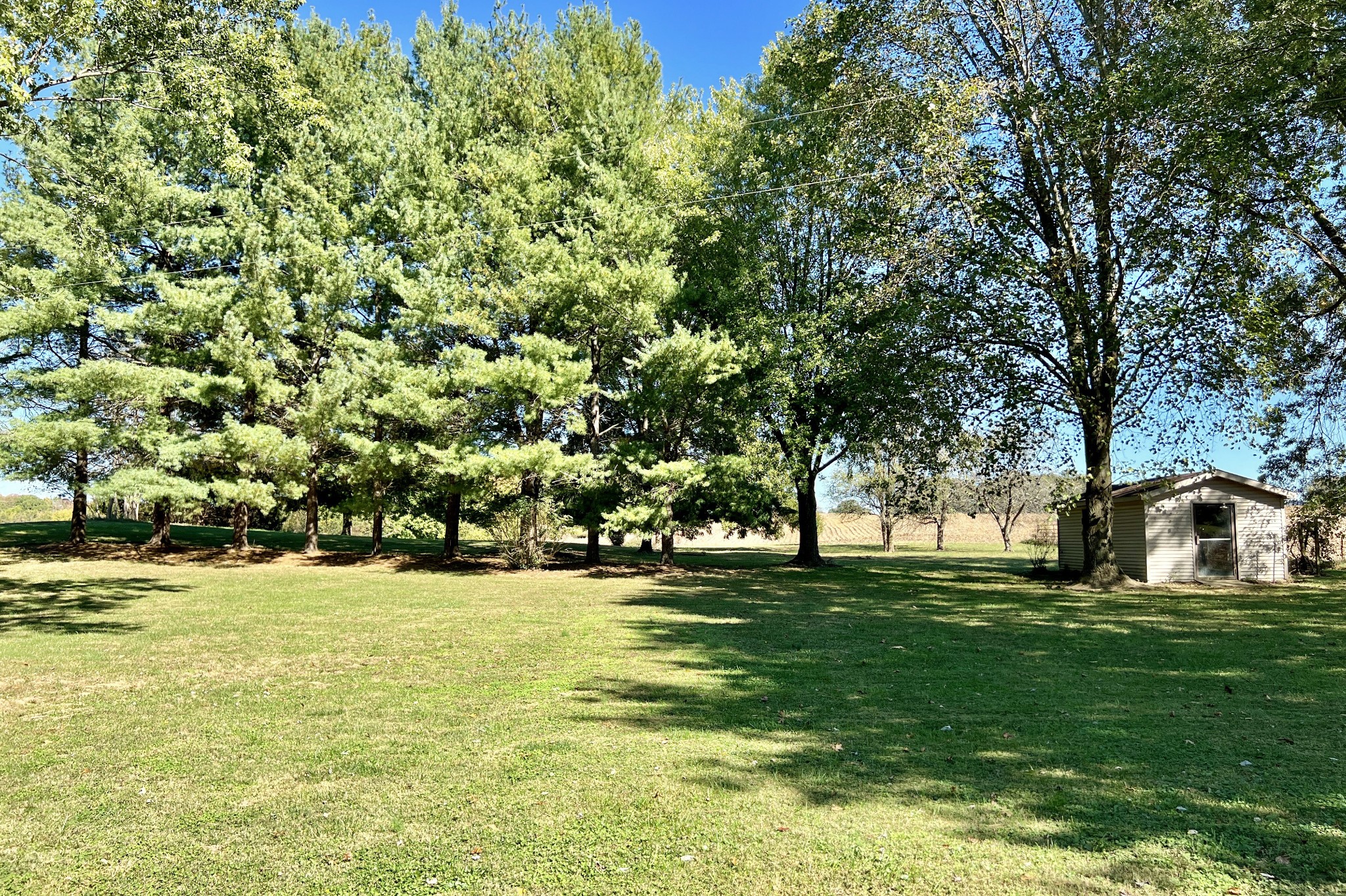 528 Johns Loop Road Franklin, KY 42134 - Photo 29 of 31 Gallery Image 29