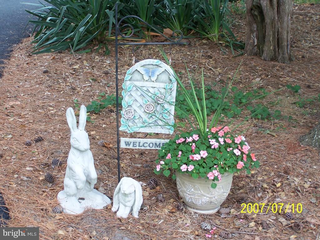 32739 Peach Orchard Road Pocomoke City, MD 21851 - Photo 26 of 39