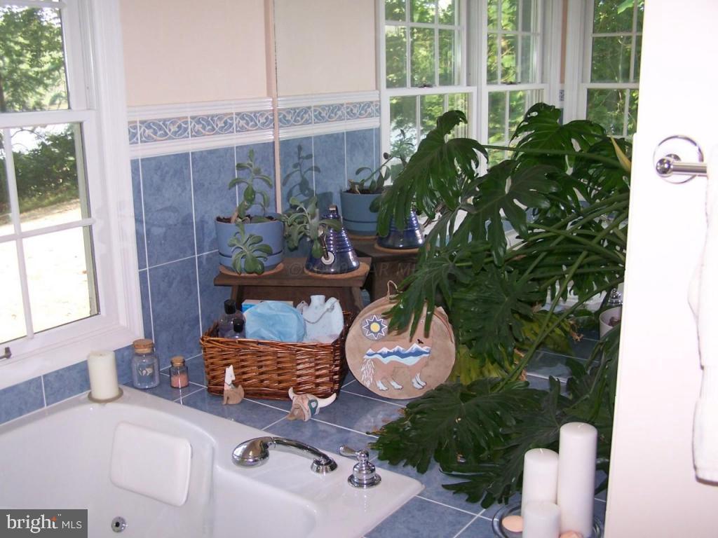 32739 Peach Orchard Road Pocomoke City, MD 21851 - Photo 36 of 39