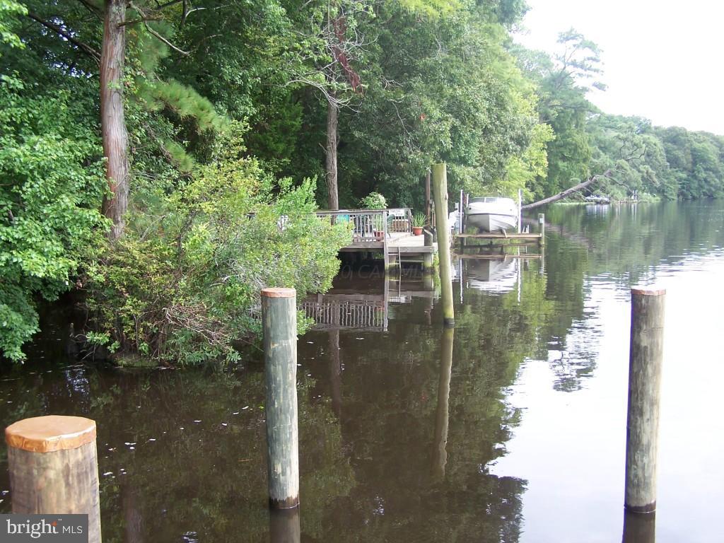32739 Peach Orchard Road Pocomoke City, MD 21851 - Photo 7 of 39