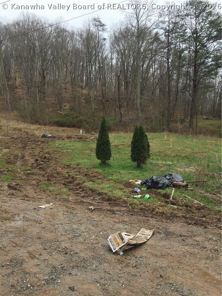 336 Upper Gore Addition Road Tornado, WV 25202 - Photo 1 of 2 Gallery Image 1