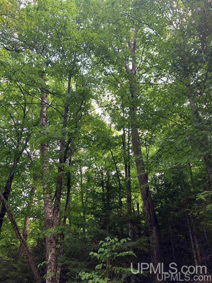 Tbd Deer Lake Road Ishpeming, MI 49849 - Photo 43 of 47