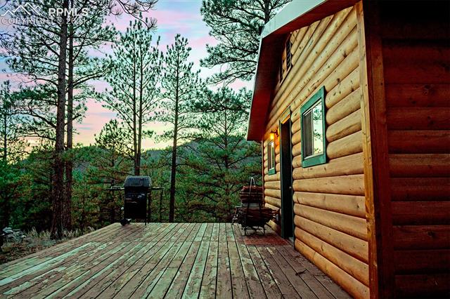 1356 South Crystal Road Lake George, CO 80827 - Photo 4 of 25