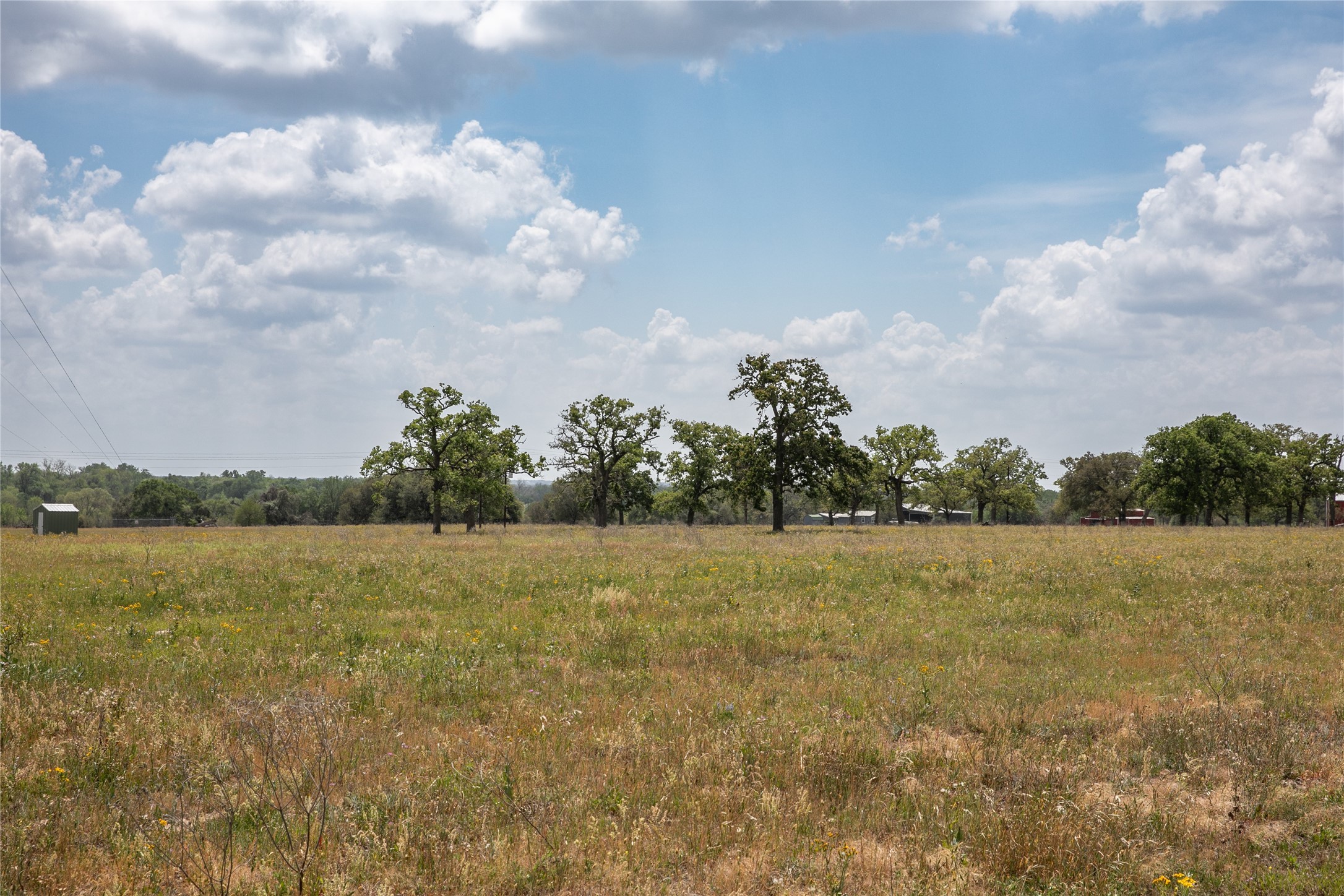 4254 FM 180 Road Ledbetter, TX 78946 - Photo 17 of 18