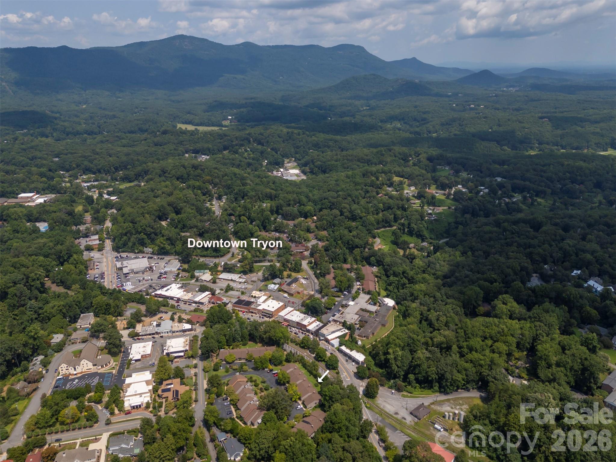 77 Chestnut Street, Unit 305 Tryon, NC 28782 - Photo 31 of 36 Gallery Image 31