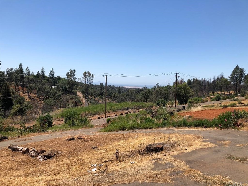 a view of a rural road with plants