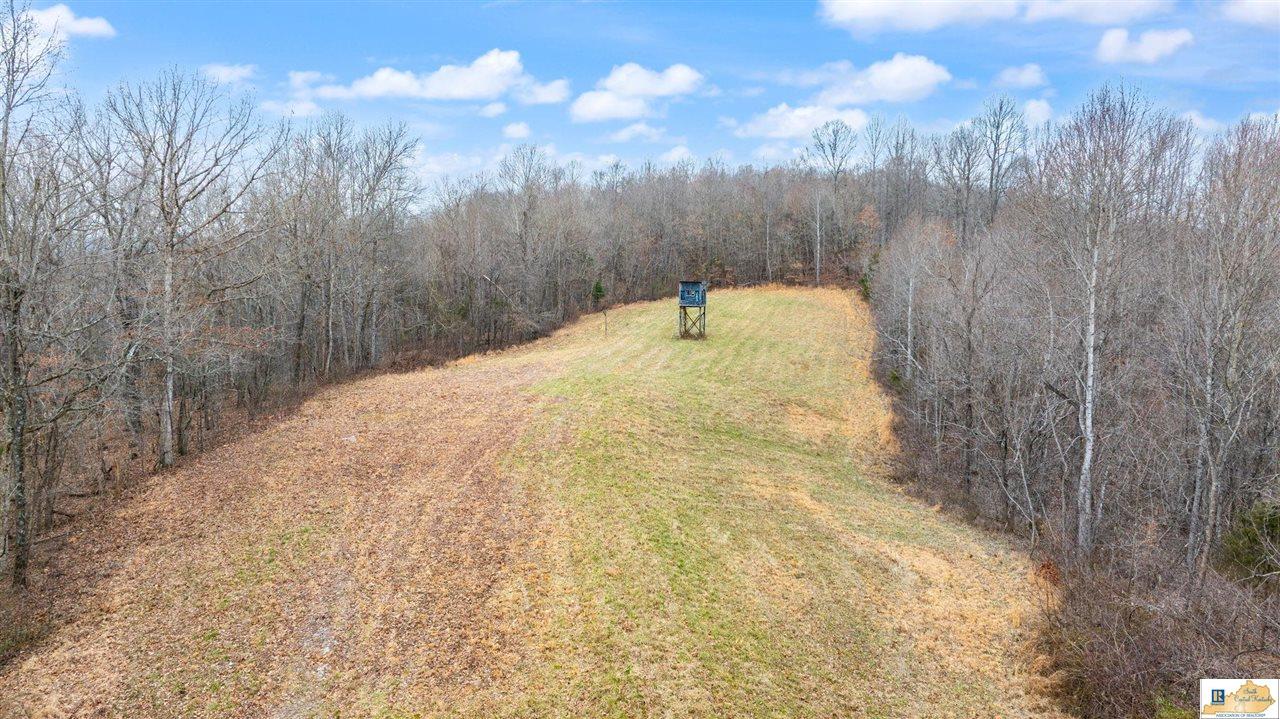 1266 Campground Road Bonnieville, KY 42713 - Photo 14 of 37 Gallery Image 14