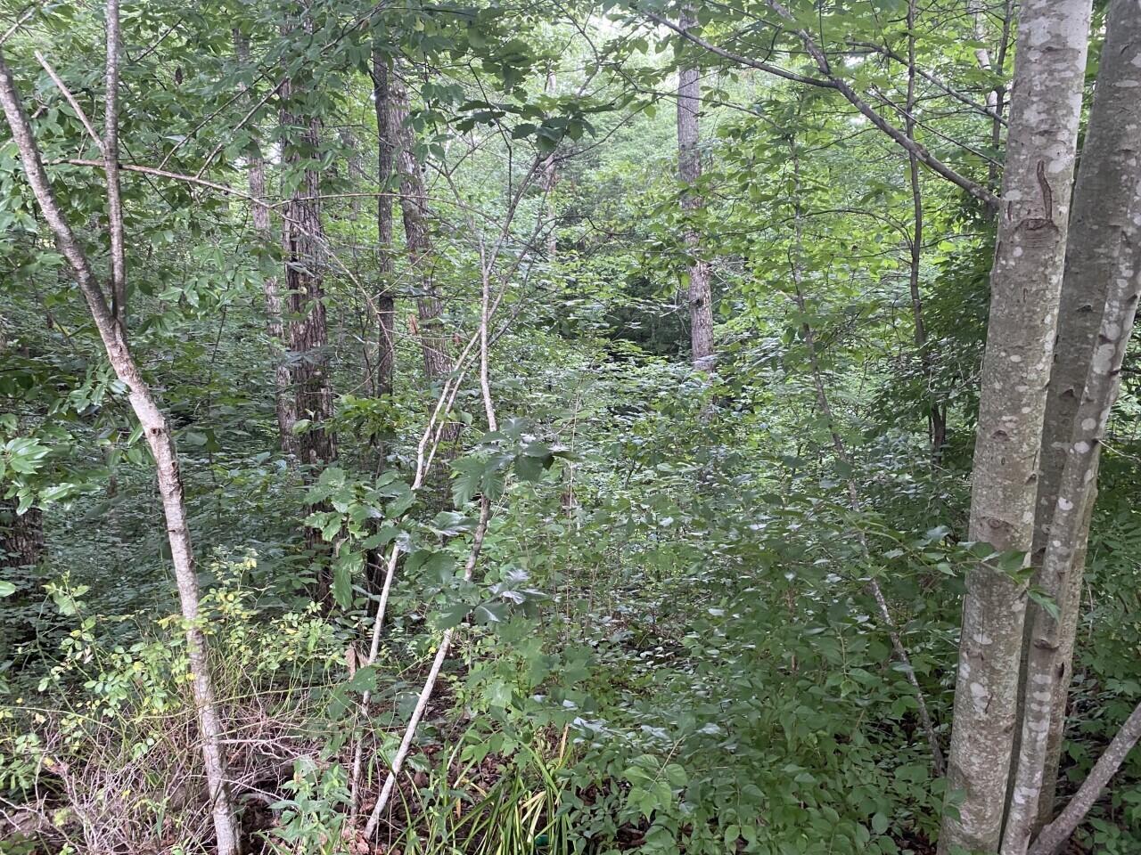 454 Oak Ridge Road Clay City, KY 40312 - Photo 23 of 25 2