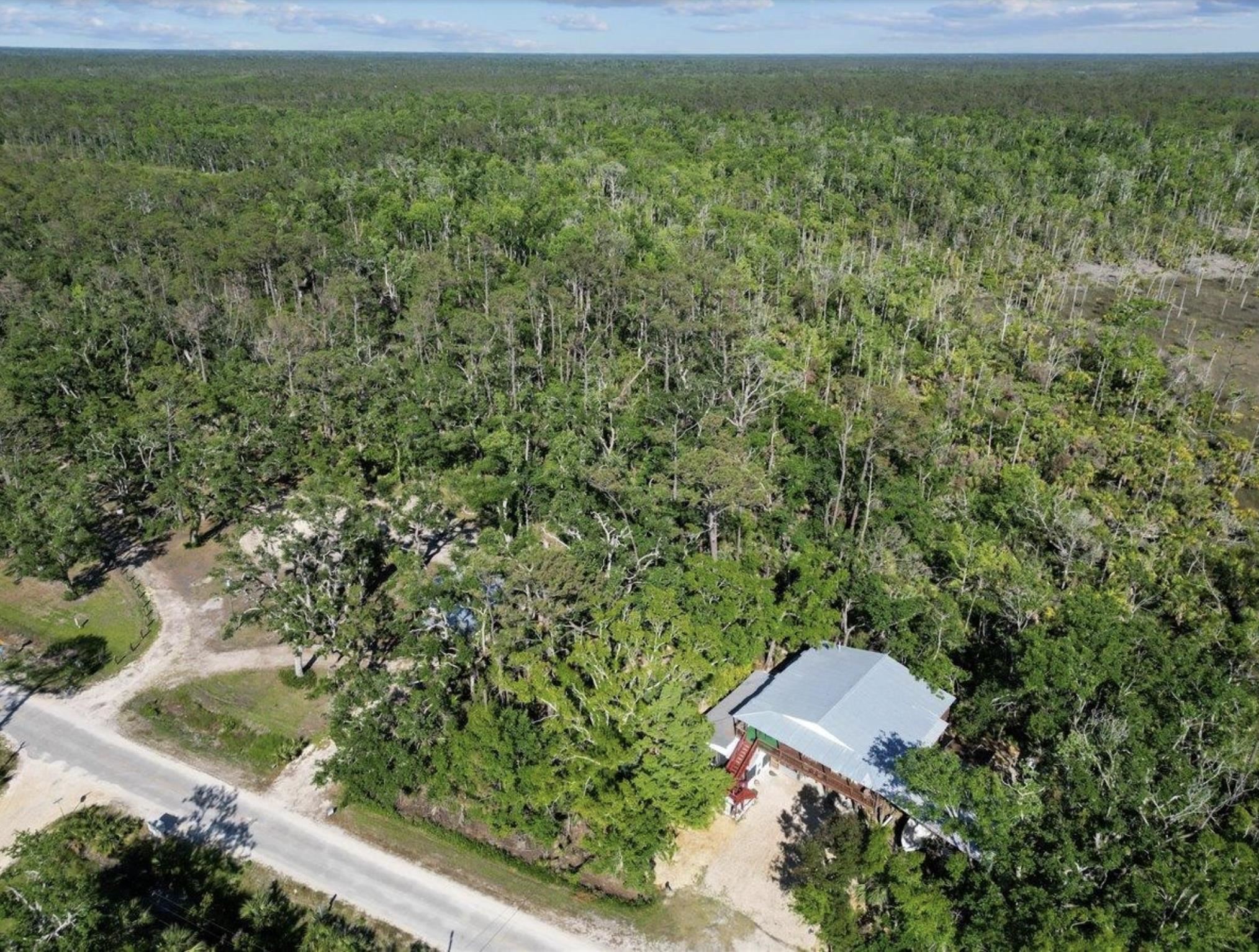 13878 Spring Warrior Road Perry, FL 32348 - Photo 5 of 20 Gallery Image 5