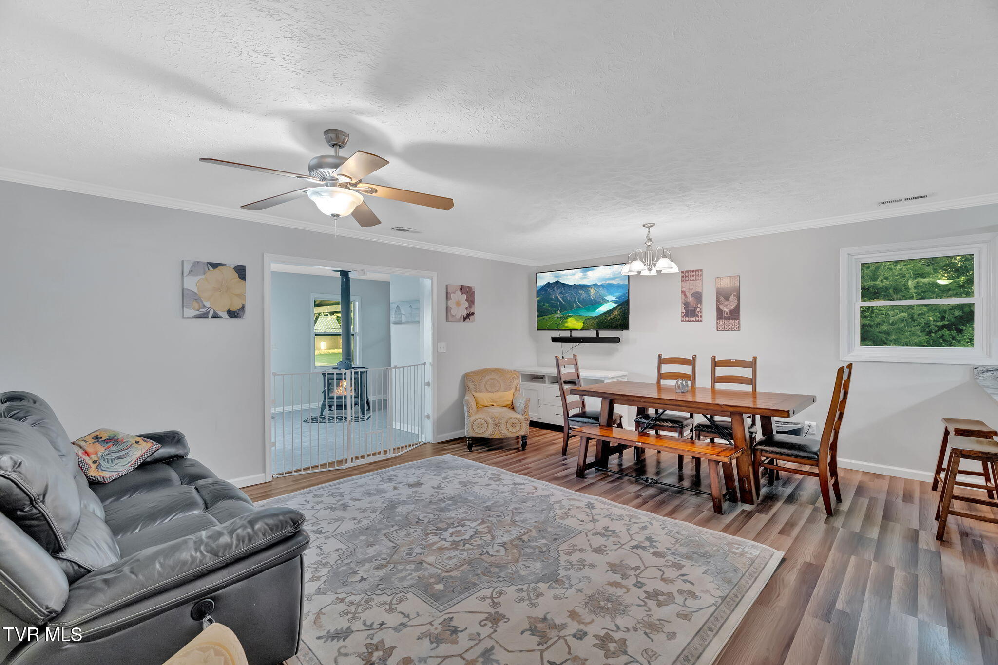 222 Roy Martin Road Gray, TN 37615 - Photo 23 of 72 39-web-or-mls-DSC07798