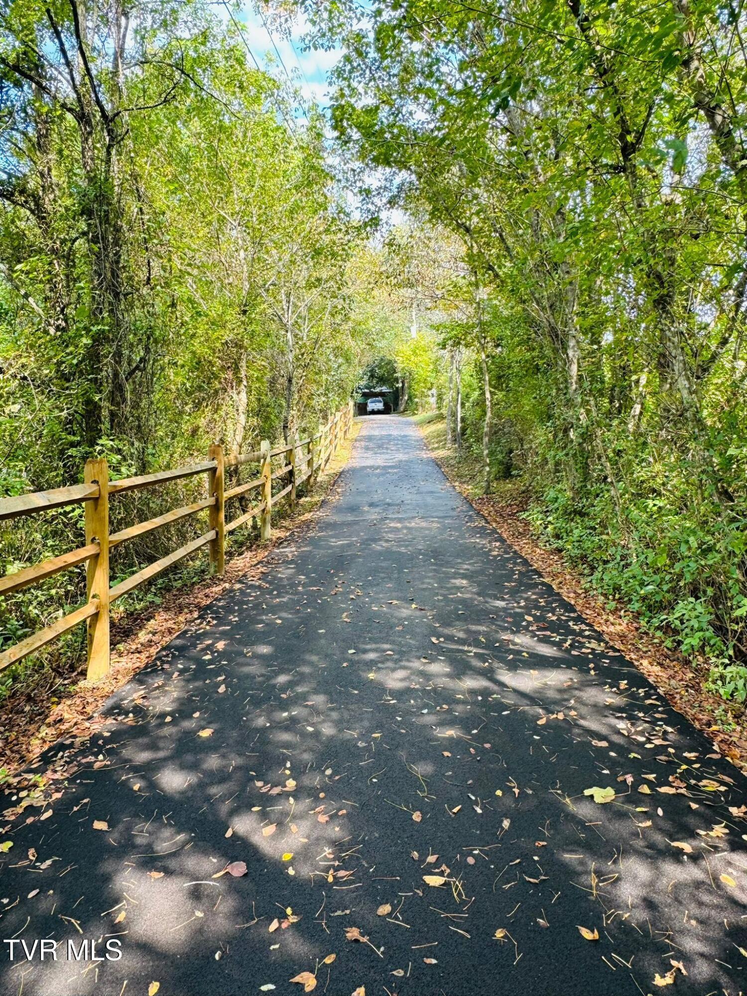 222 Roy Martin Road Gray, TN 37615 - Photo 4 of 72 DW2