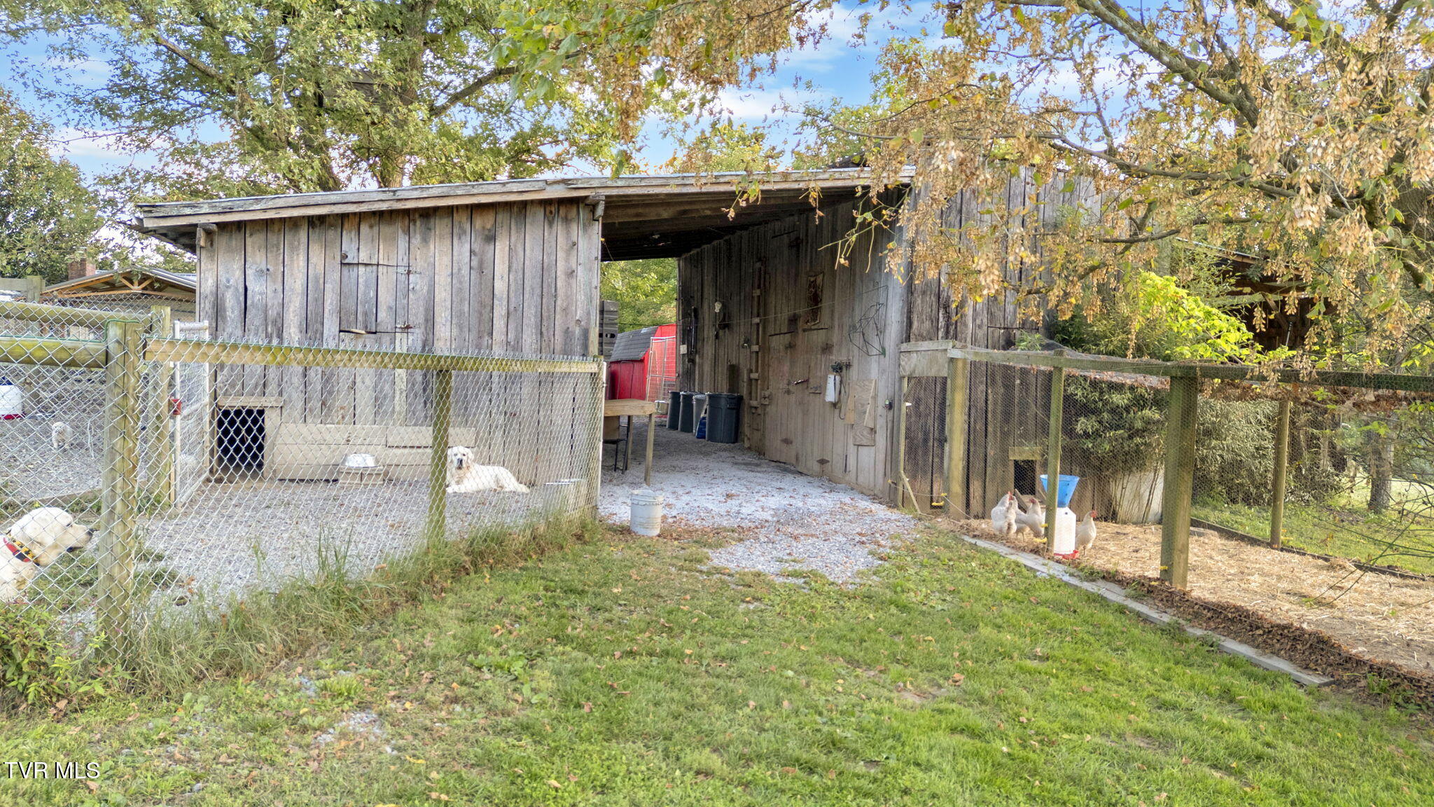 222 Roy Martin Road Gray, TN 37615 - Photo 53 of 72 18-web-or-mls-DJI_20250919193305_0231_D