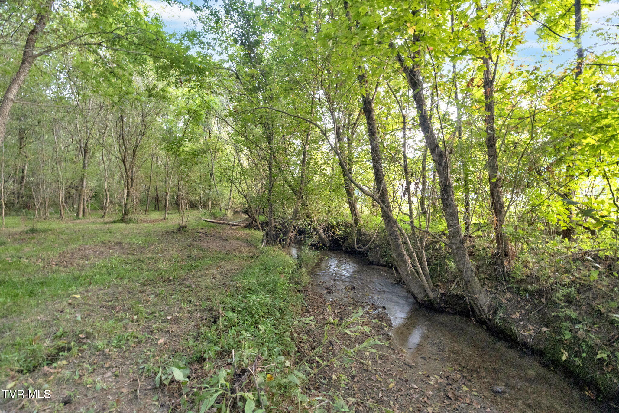 222 Roy Martin Road Gray, TN 37615 - Photo 56 of 72 17-web-or-mls-DSC07947