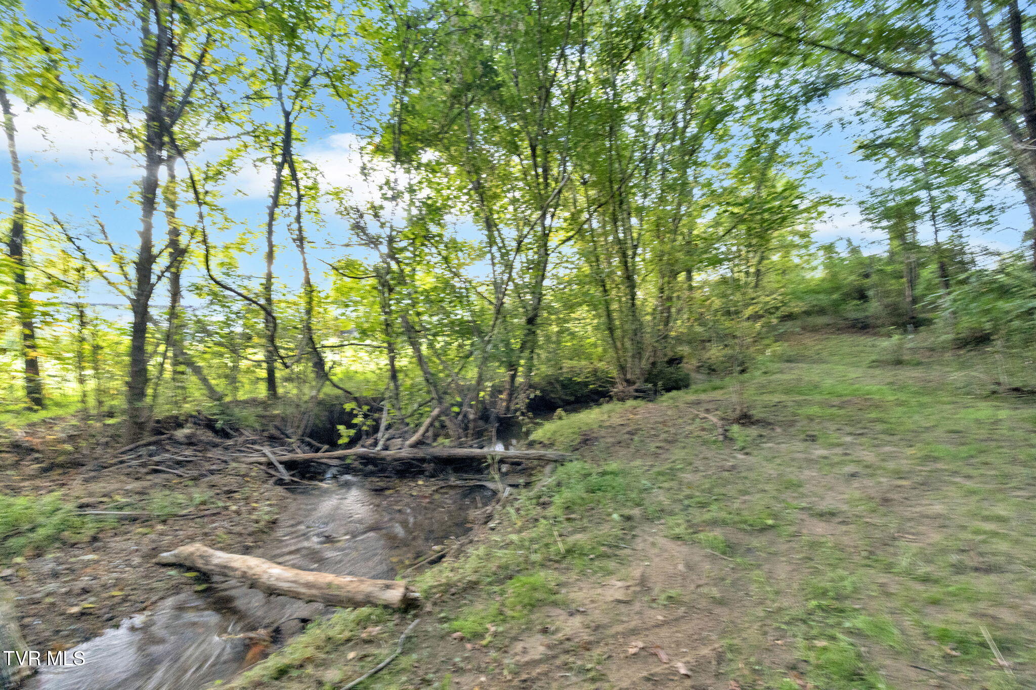 222 Roy Martin Road Gray, TN 37615 - Photo 58 of 72 28-web-or-mls-DSC07953