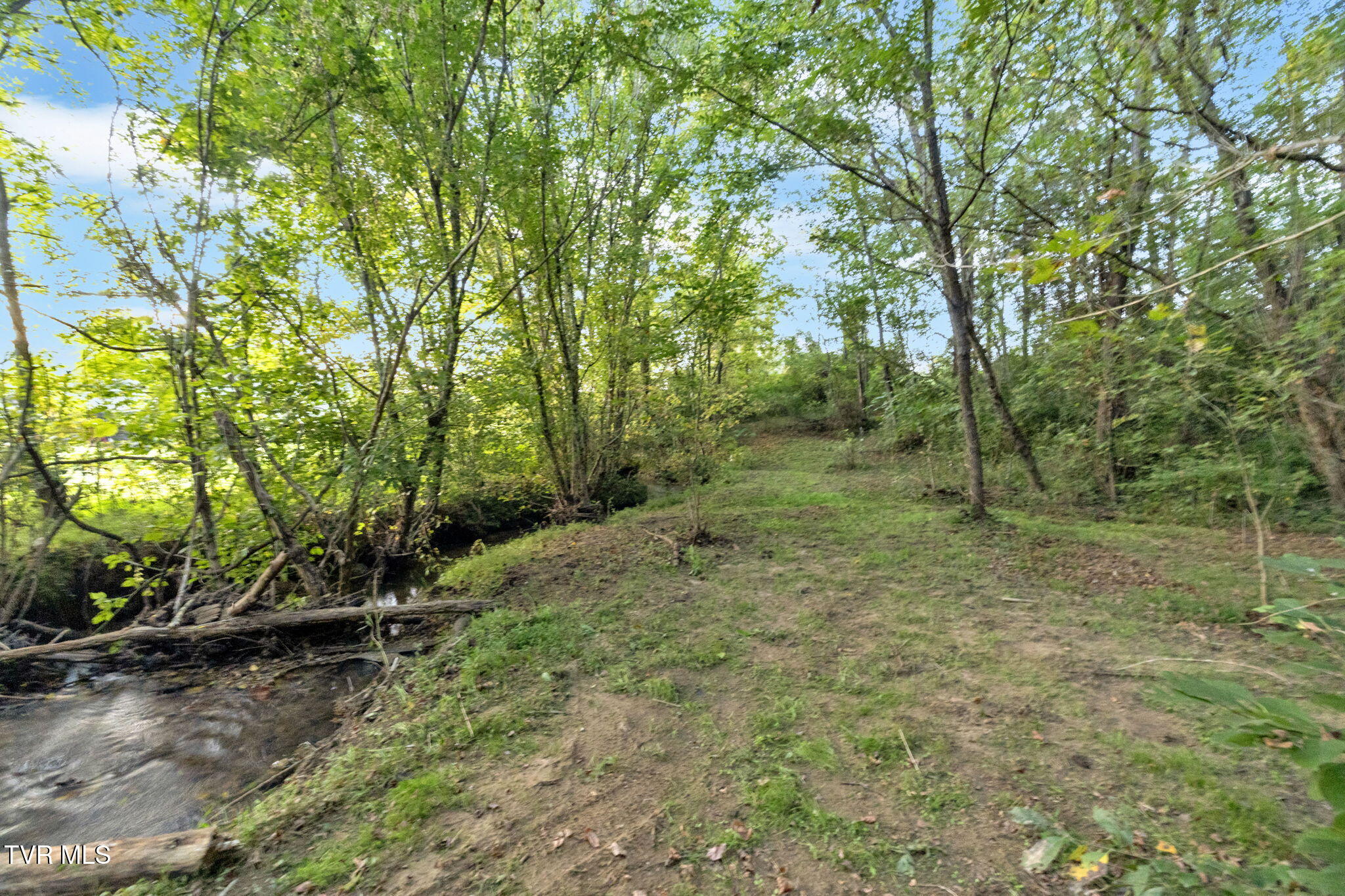 222 Roy Martin Road Gray, TN 37615 - Photo 65 of 72 57-web-or-mls-DSC07950