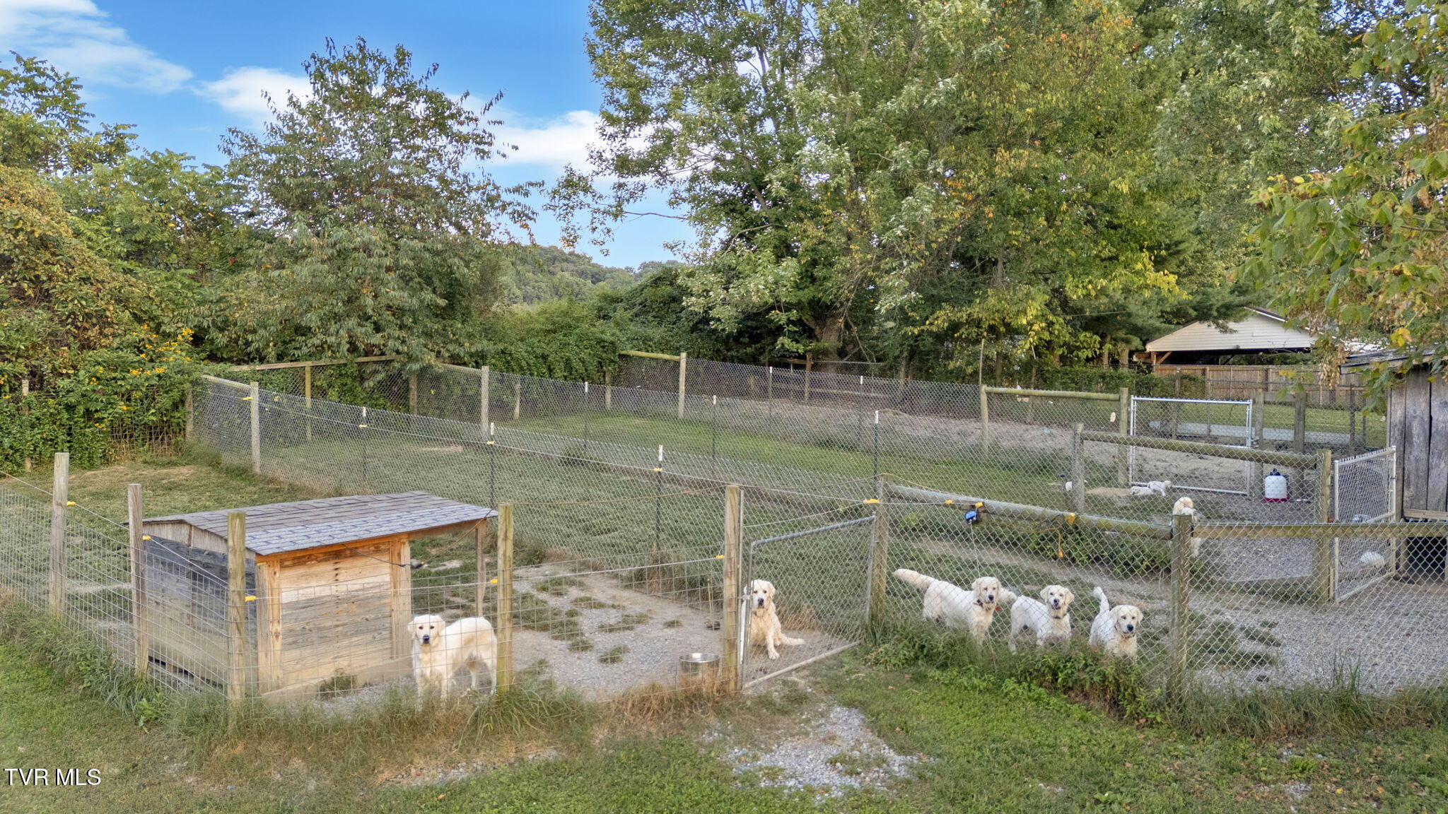 222 Roy Martin Road Gray, TN 37615 - Photo 70 of 72 70-web-or-mls-DJI_20250919193249_0224_D