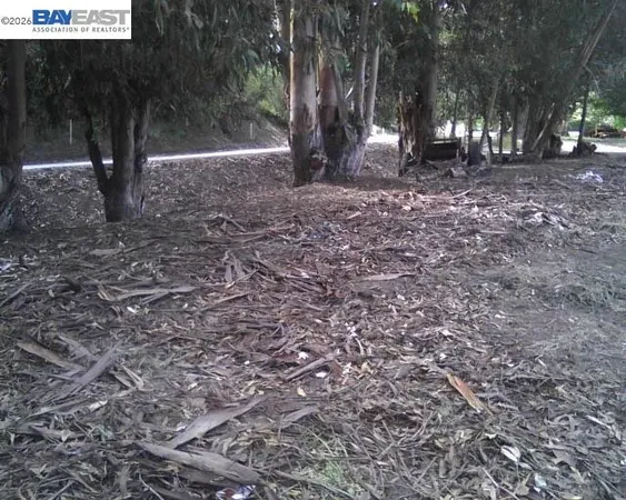 a view of outdoor space with lots of trees