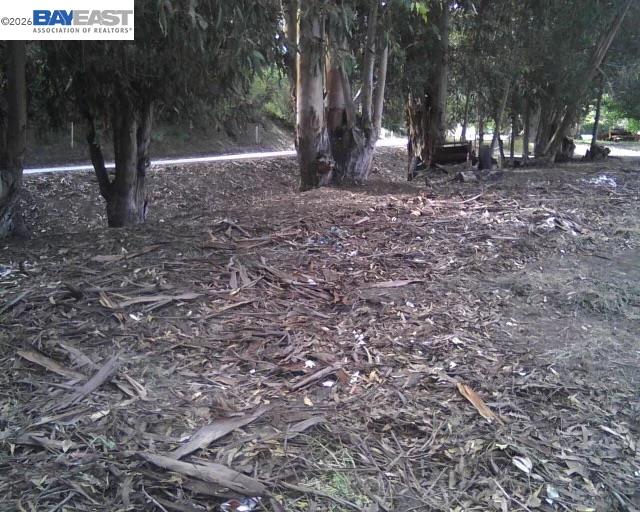 a view of outdoor space with lots of trees