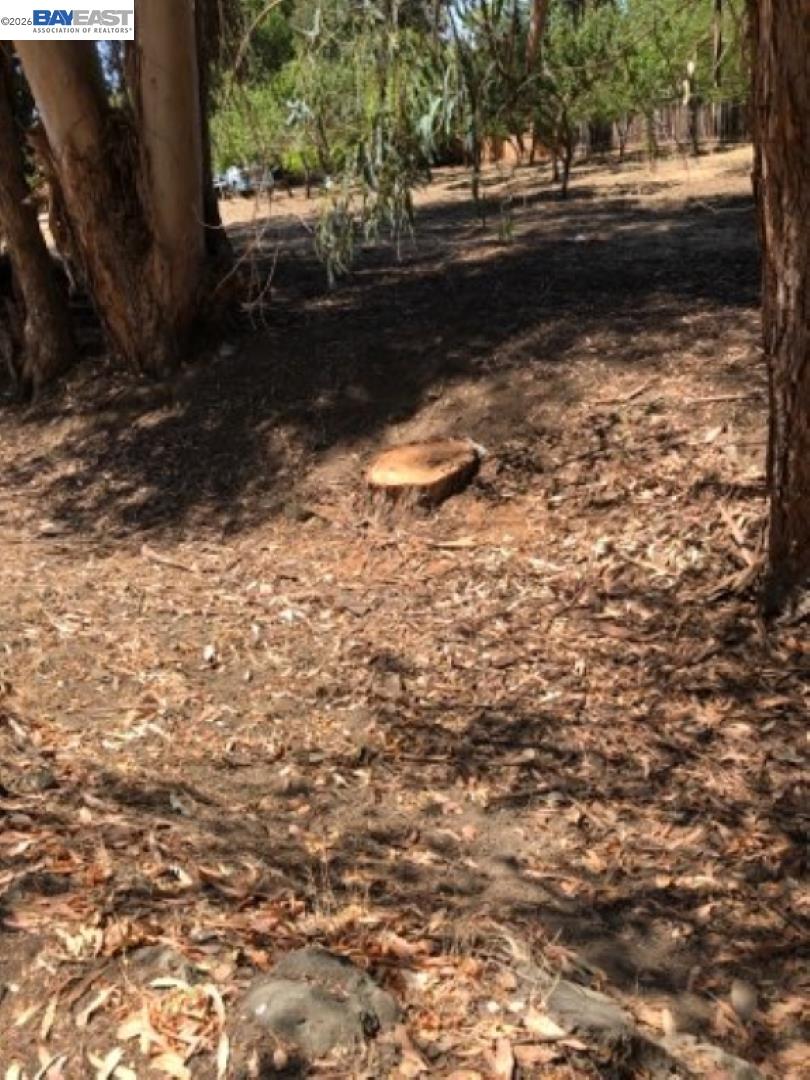 Old Canyon Road Fremont, CA 94536 - Photo 13 of 26 a view of a yard