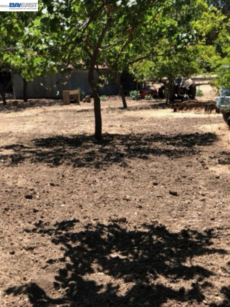 Old Canyon Road Fremont, CA 94536 - Photo 15 of 26 a view of a yard with trees