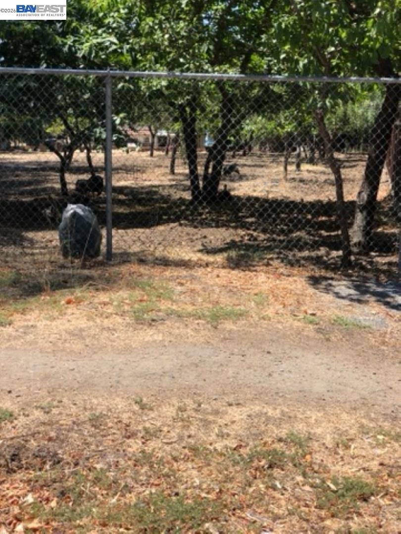 Old Canyon Road Fremont, CA 94536 - Photo 16 of 26 a view of a yard with plants