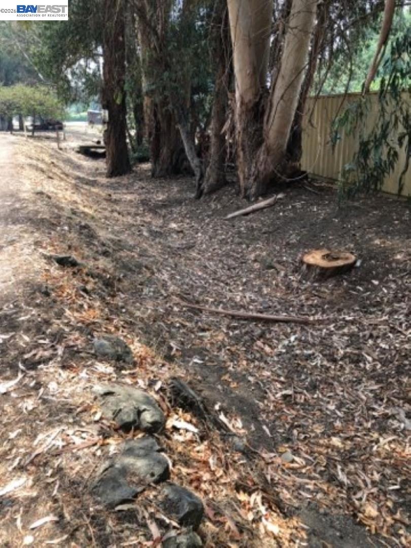 Old Canyon Road Fremont, CA 94536 - Photo 17 of 26 a view of backyard with green space