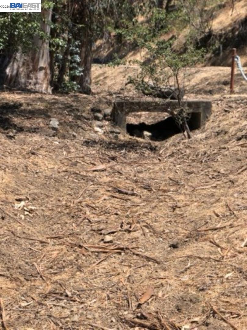 Old Canyon Road Fremont, CA 94536 - Photo 18 of 26 a view of a yard with wooden fence
