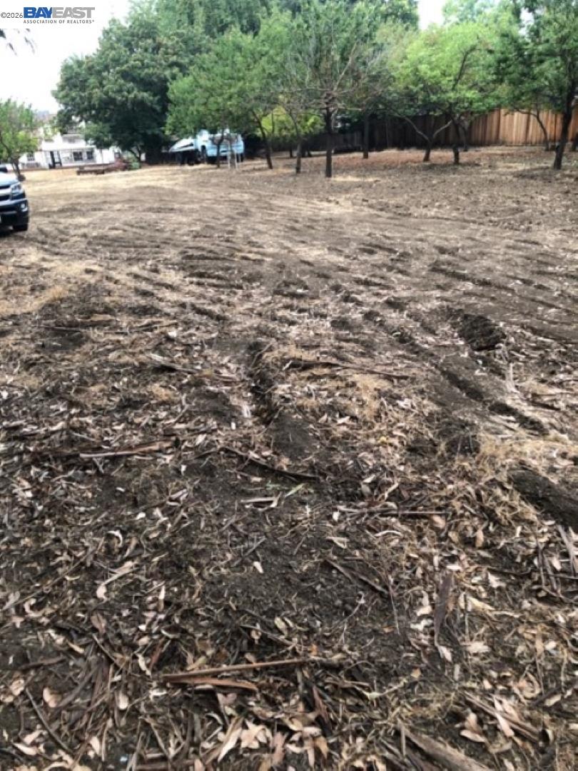 Old Canyon Road Fremont, CA 94536 - Photo 20 of 26 a view of a yard with a trees