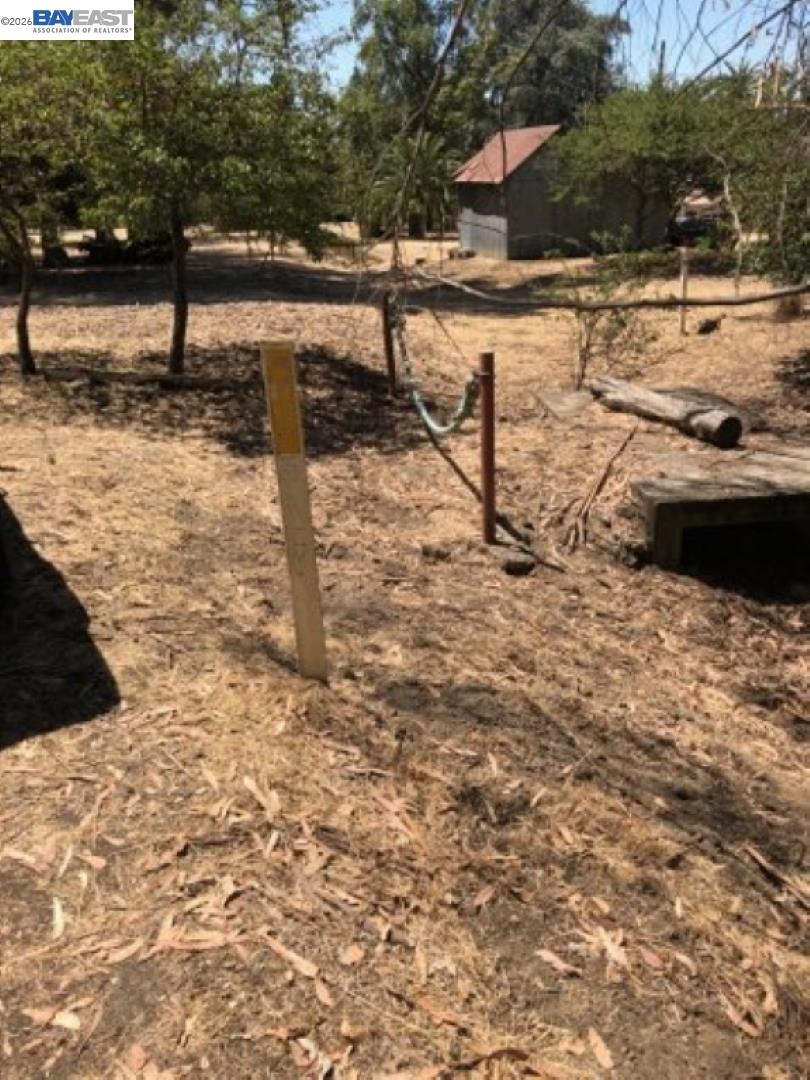 Old Canyon Road Fremont, CA 94536 - Photo 26 of 26 a view of a yard with trees
