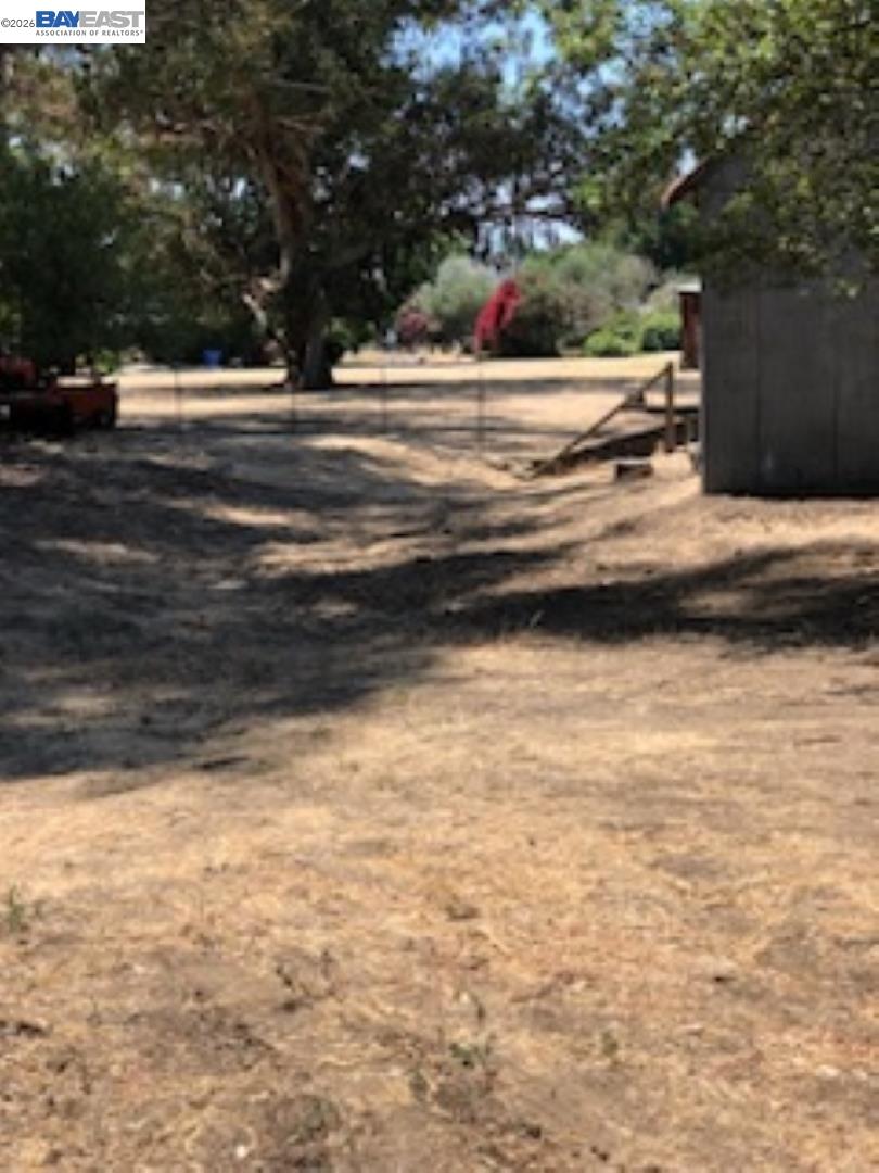 Old Canyon Road Fremont, CA 94536 - Photo 3 of 26 a view of backyard and tree