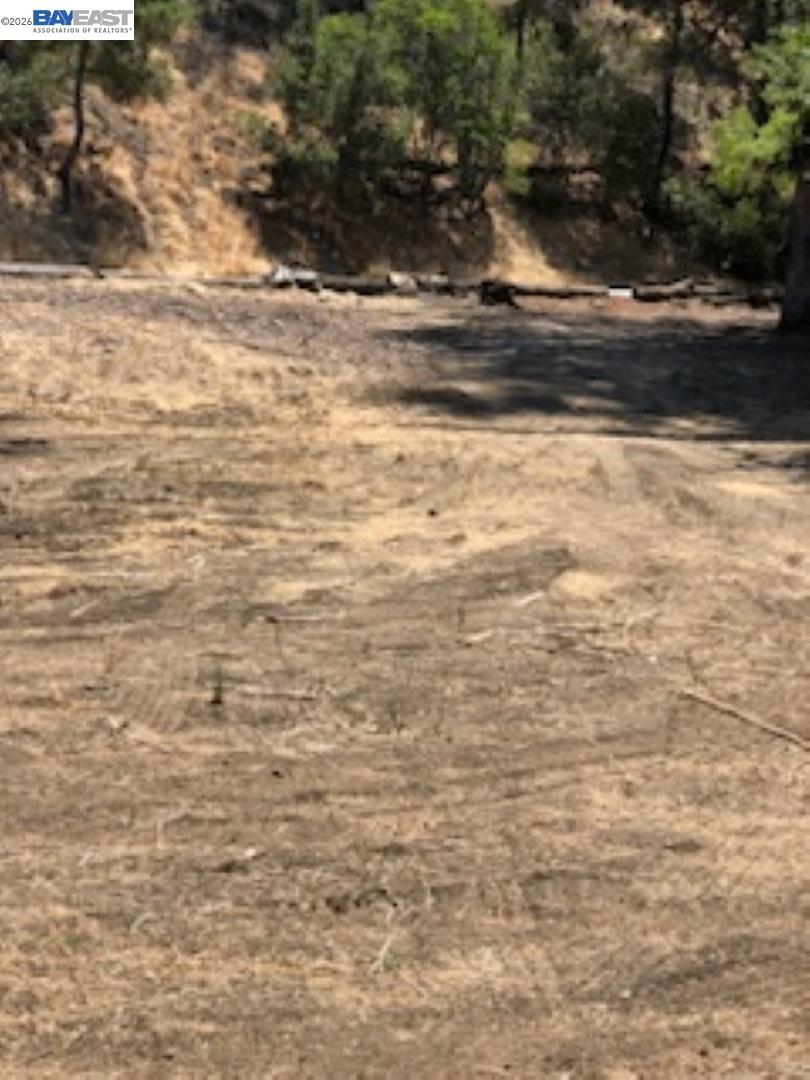 Old Canyon Road Fremont, CA 94536 - Photo 4 of 26 a view of a yard with an empty space
