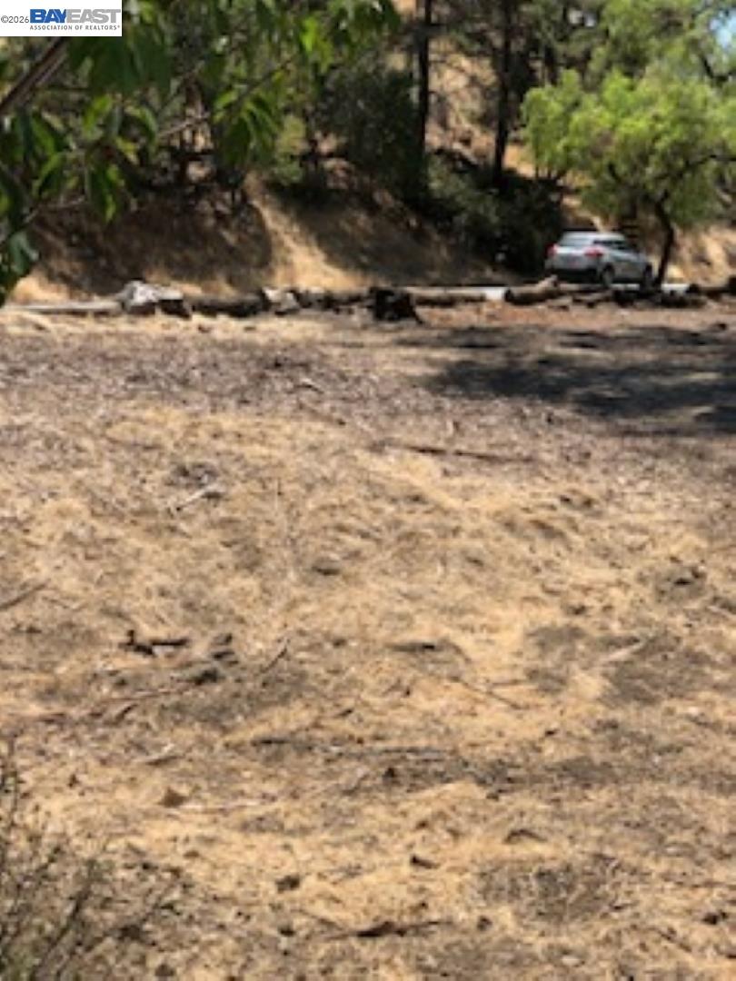 Old Canyon Road Fremont, CA 94536 - Photo 6 of 26 a view of road with trees