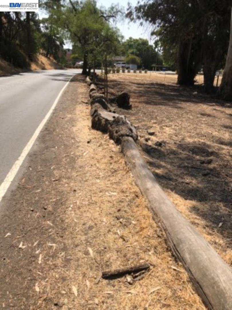 Old Canyon Road Fremont, CA 94536 - Photo 9 of 26 a view of dirt yard with a large tree