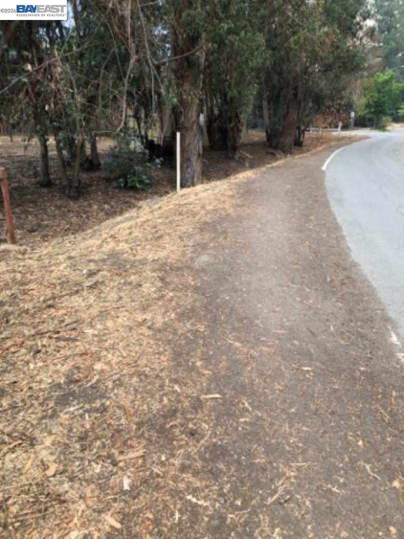 Old Canyon Road Fremont, CA 94536 - Photo 10 of 26 a view of a yard with trees