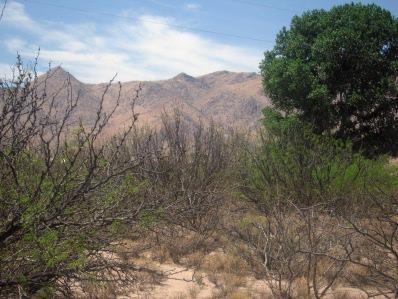 0 East Sulphur Canyon Road San Simon, AZ 85632 - Photo 7 of 8