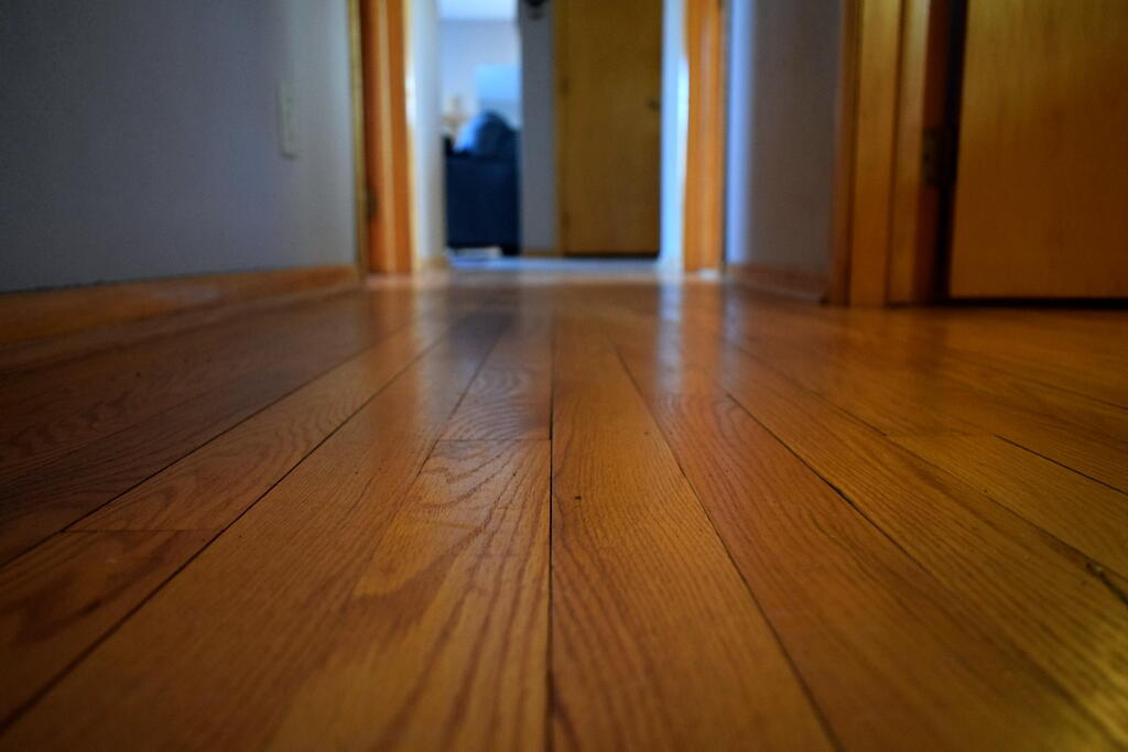 526 Winnebago Street La Crosse, WI 54601 - Photo 4 of 12 Hardwood Flooring