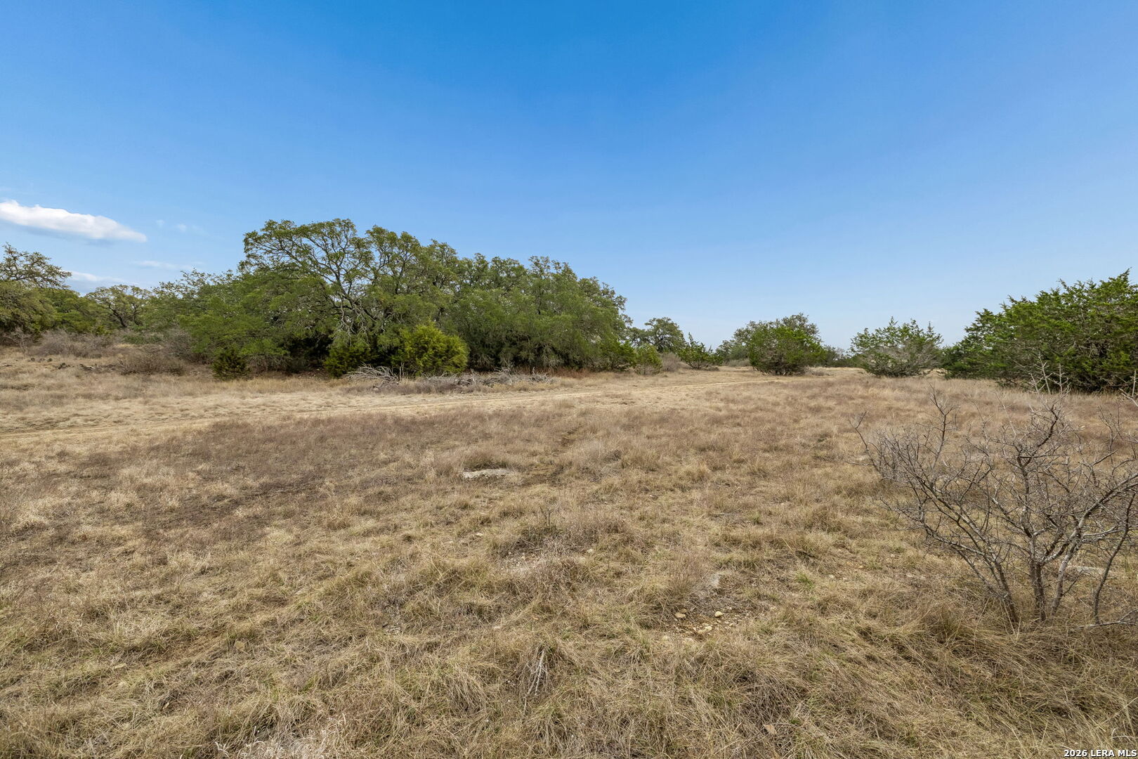 134 East Alex Jordan Blanco, TX 78606 - Photo 11 of 25