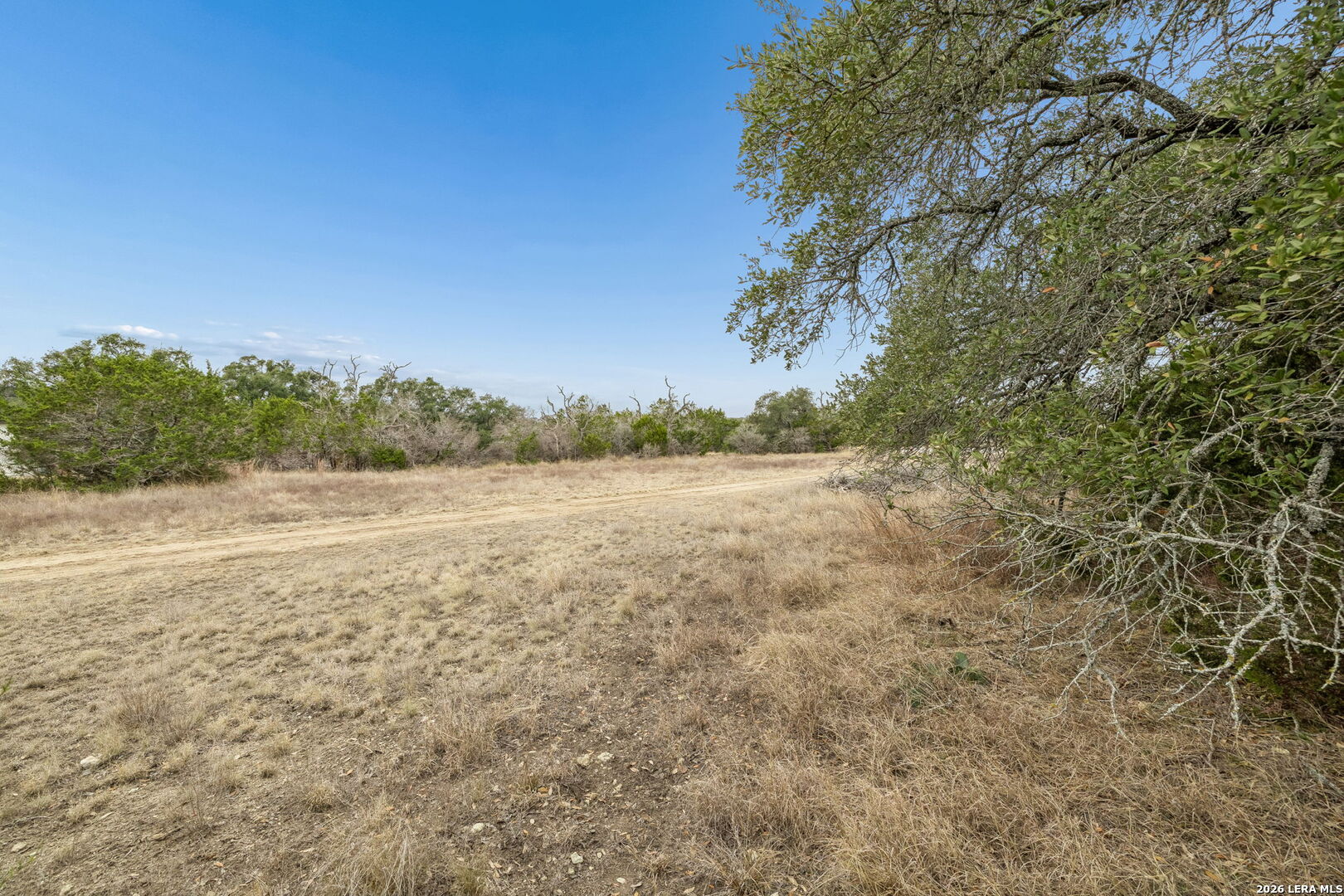 134 East Alex Jordan Blanco, TX 78606 - Photo 16 of 25