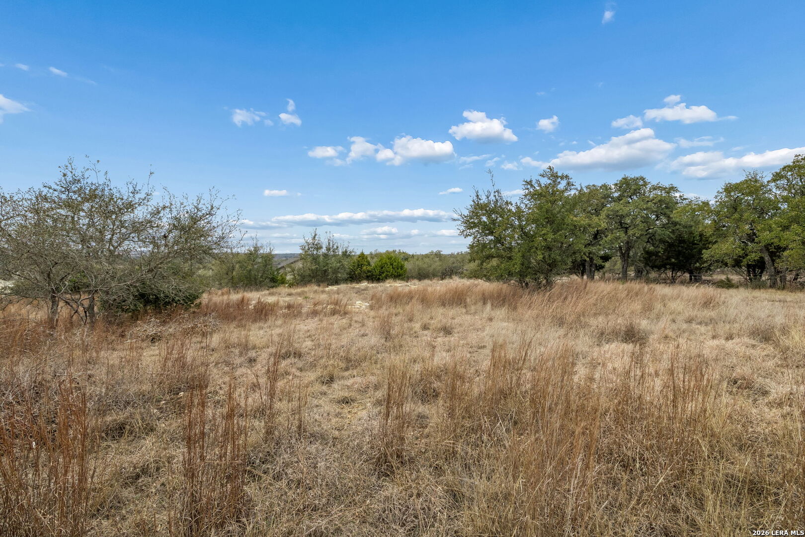 134 East Alex Jordan Blanco, TX 78606 - Photo 17 of 25