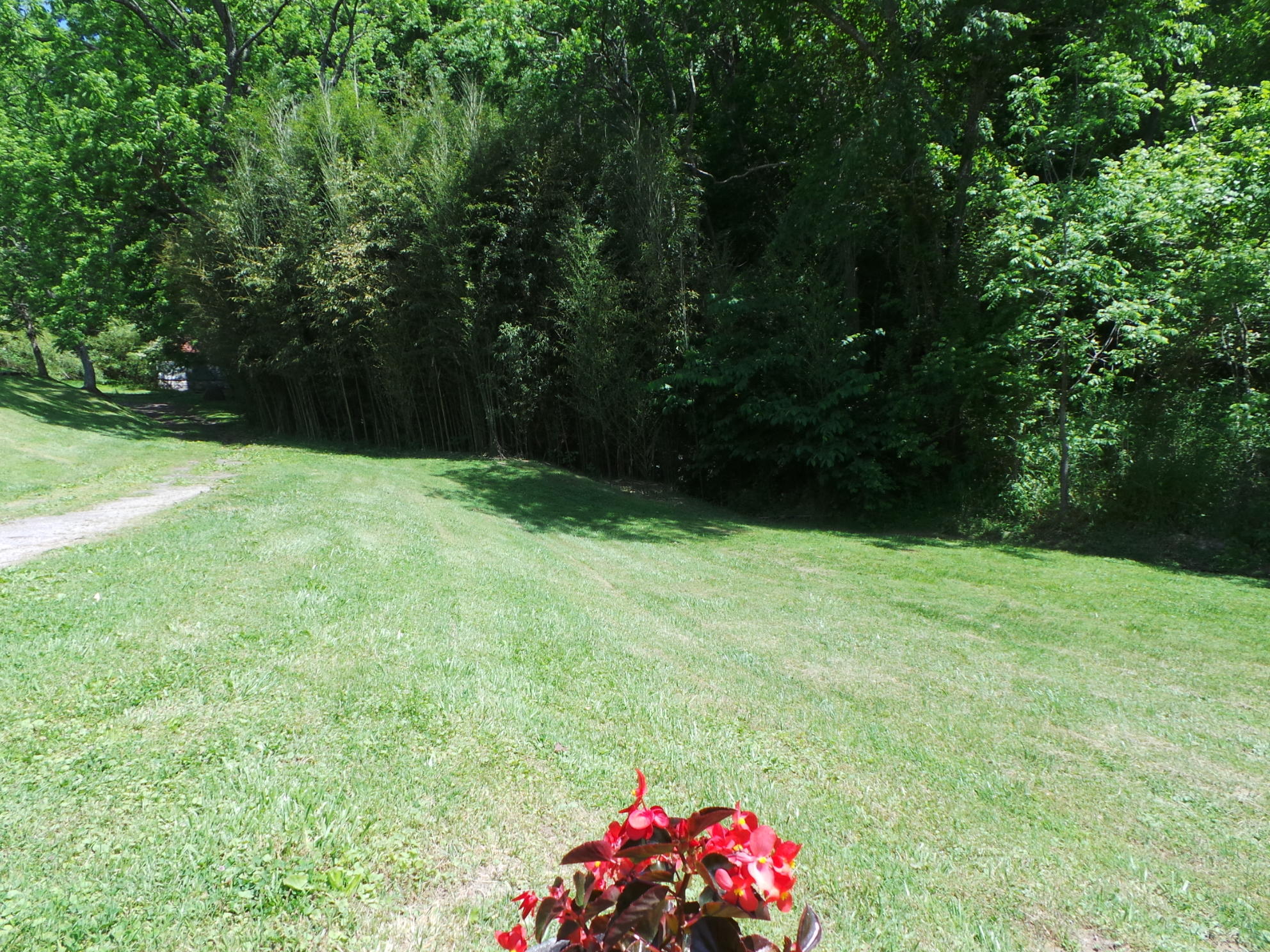 1905 Boozy Creek Road Bristol, VA 24202 - Photo 23 of 130 BIG SIDE YARD