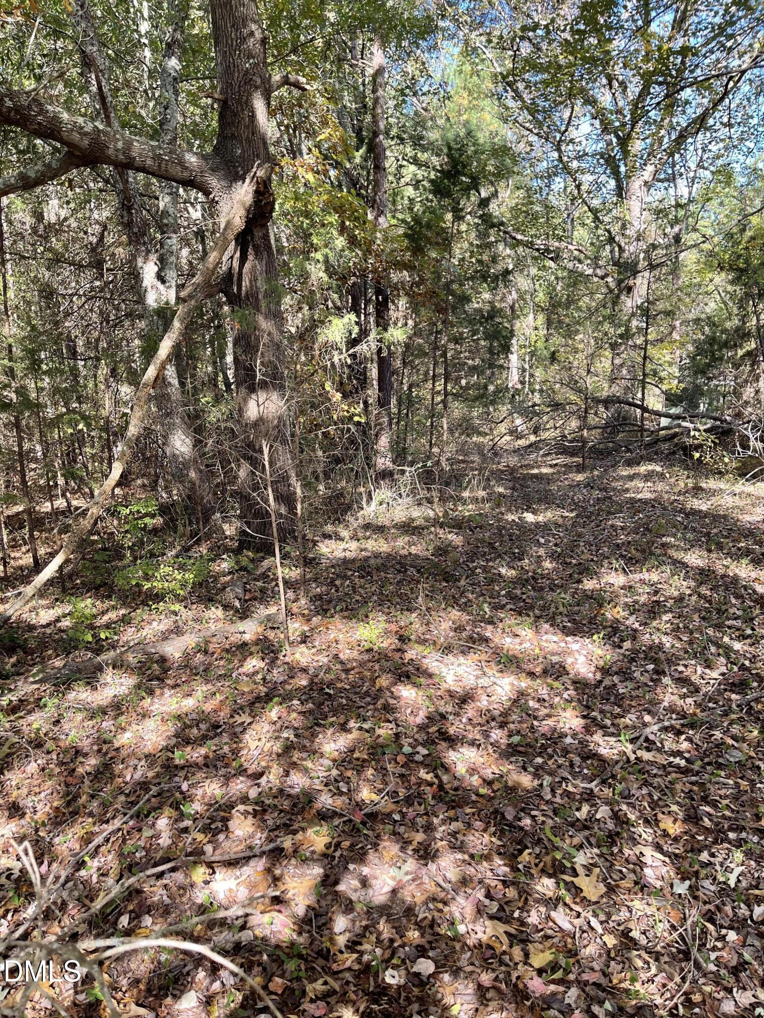 0 Beasley Road Louisburg, NC 27549 - Photo 5 of 10 a view of a yard