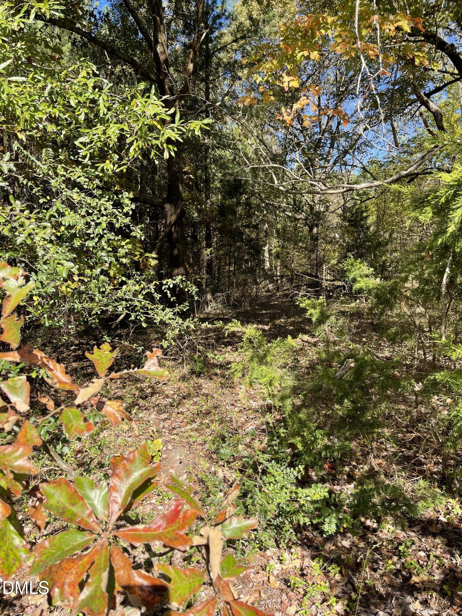 0 Beasley Road Louisburg, NC 27549 - Photo 6 of 10 a view of a tree