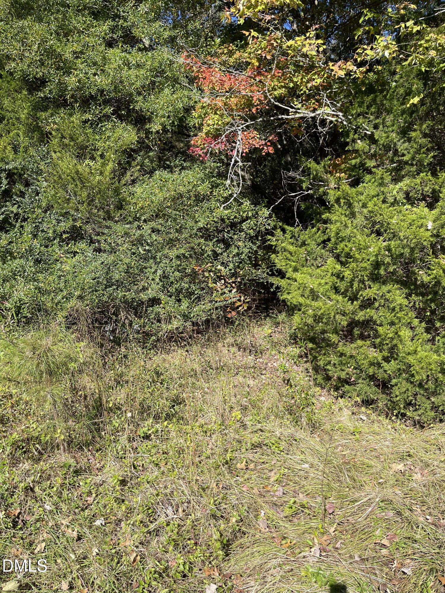 0 Beasley Road Louisburg, NC 27549 - Photo 7 of 10 a view of a lush green field