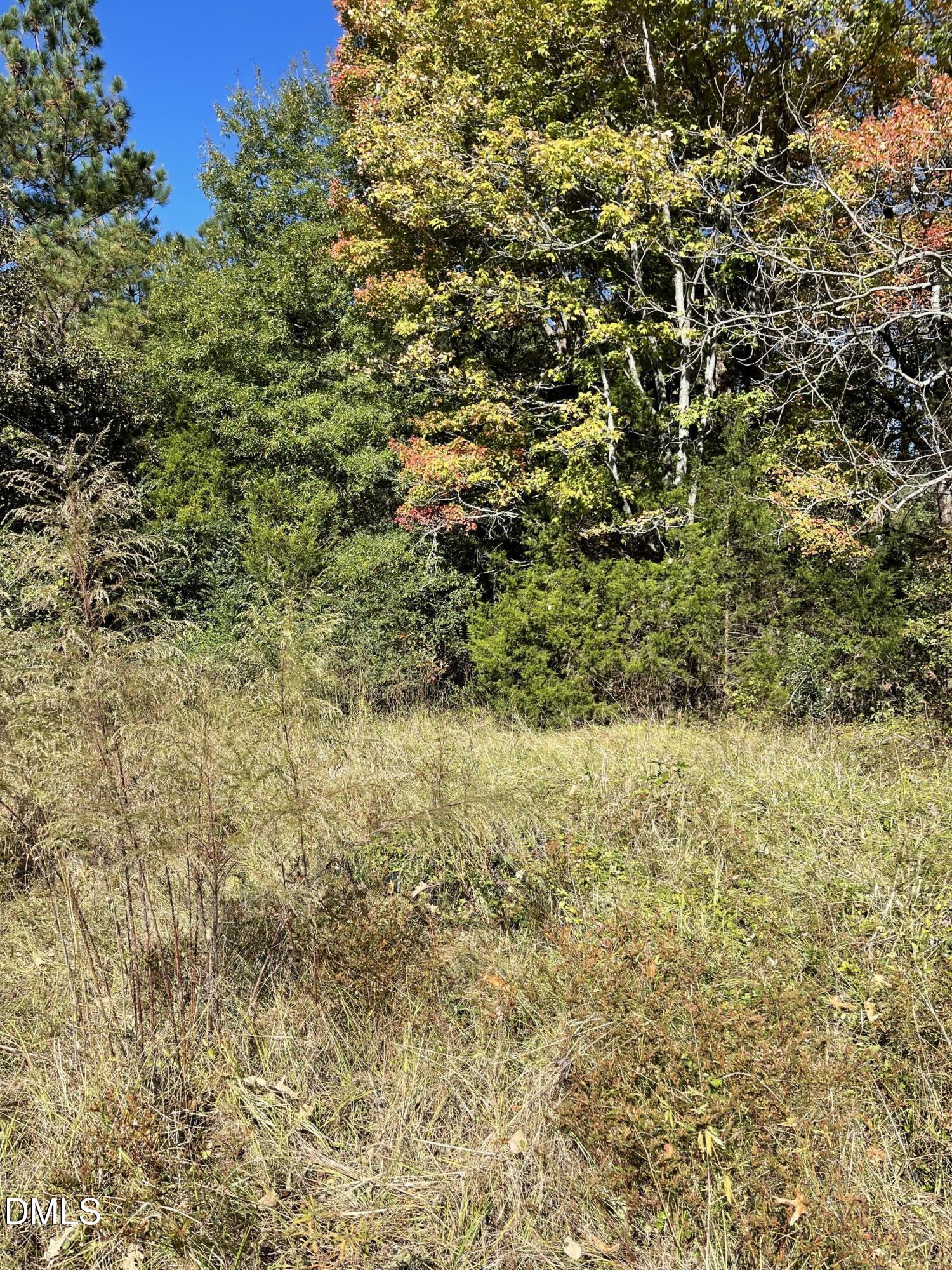 0 Beasley Road Louisburg, NC 27549 - Photo 8 of 10 a view of a yard