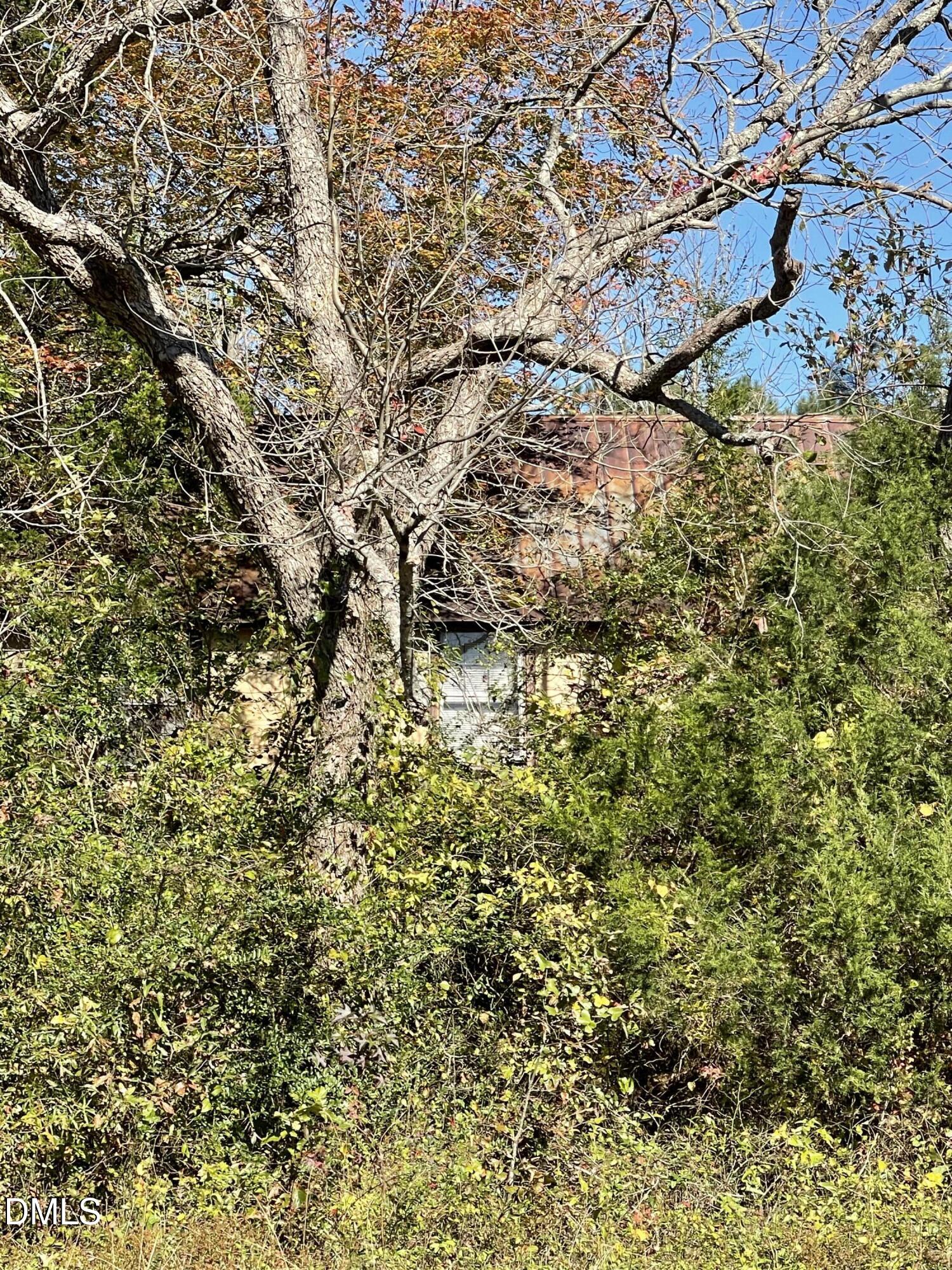 0 Beasley Road Louisburg, NC 27549 - Photo 9 of 10 a view of a yard with a tree